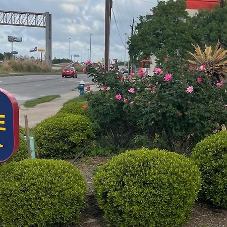 Raintree Inn And Suites Houston Bagian luar foto